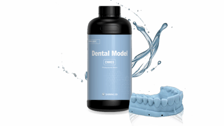 Dental Model DM03